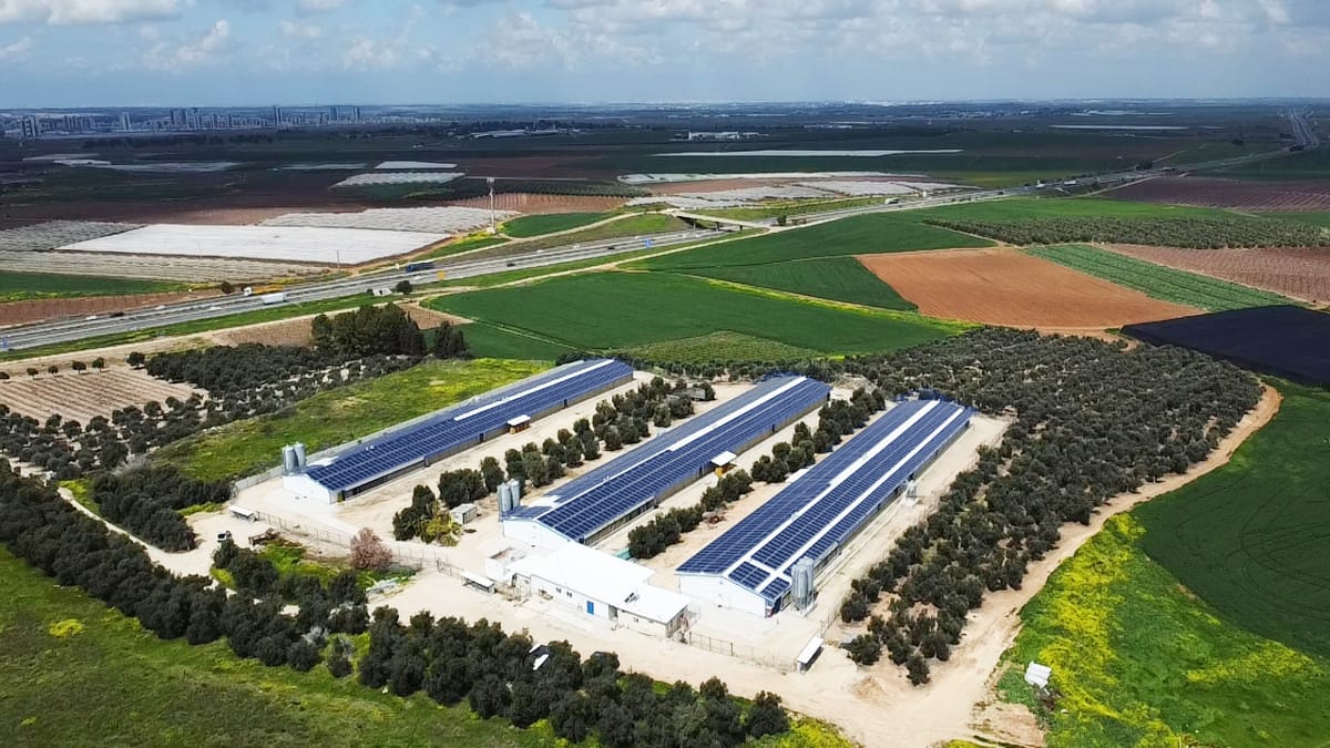 הקמת מערכת סולארית בשדה משה